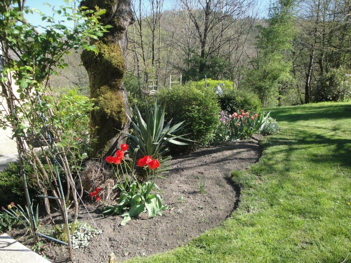 Le Relais Des Capucines Bed & Breakfast Largnac ภายนอก รูปภาพ